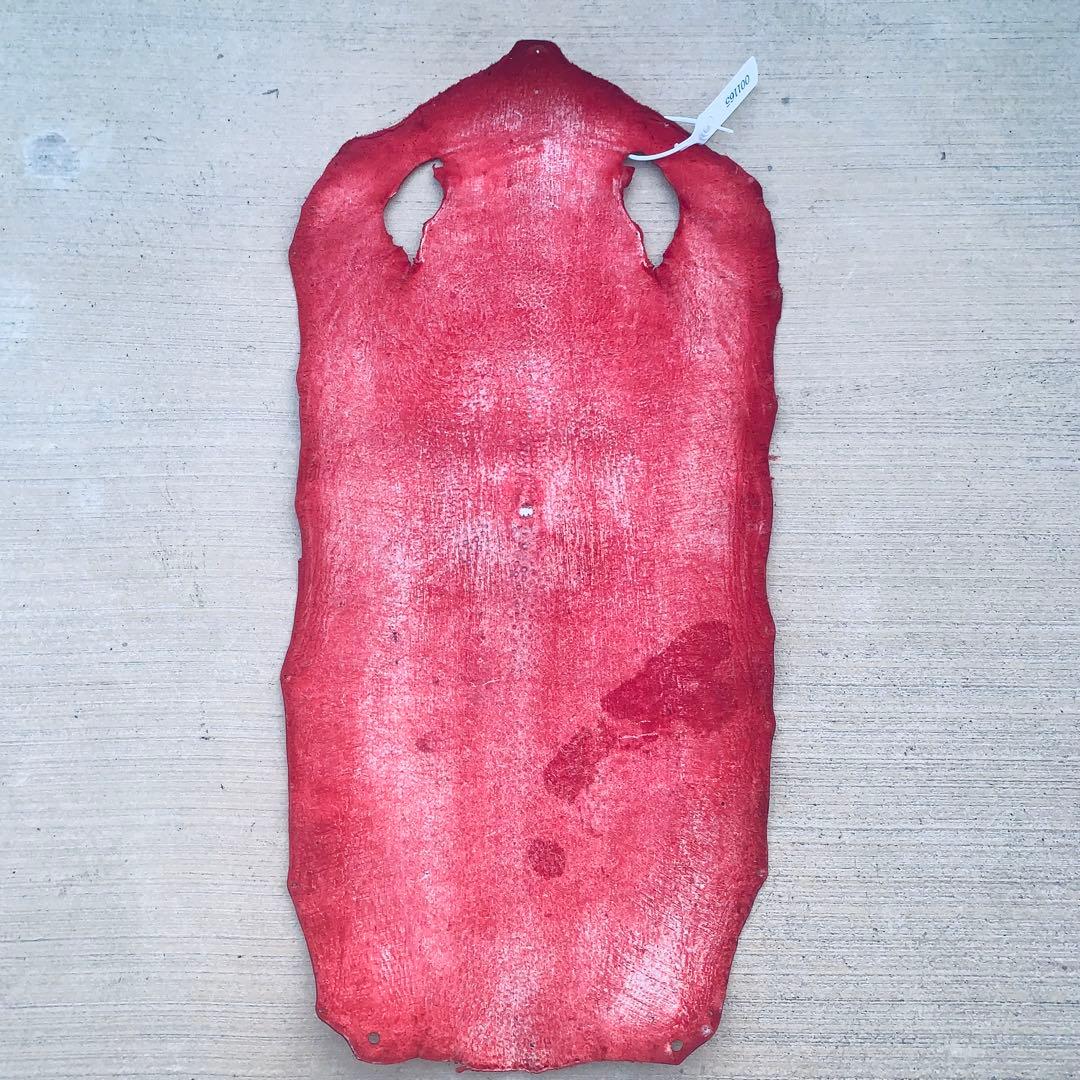 20) エイ革 鮫革 鮫皮 stingray ガルーシャ スティングレイ