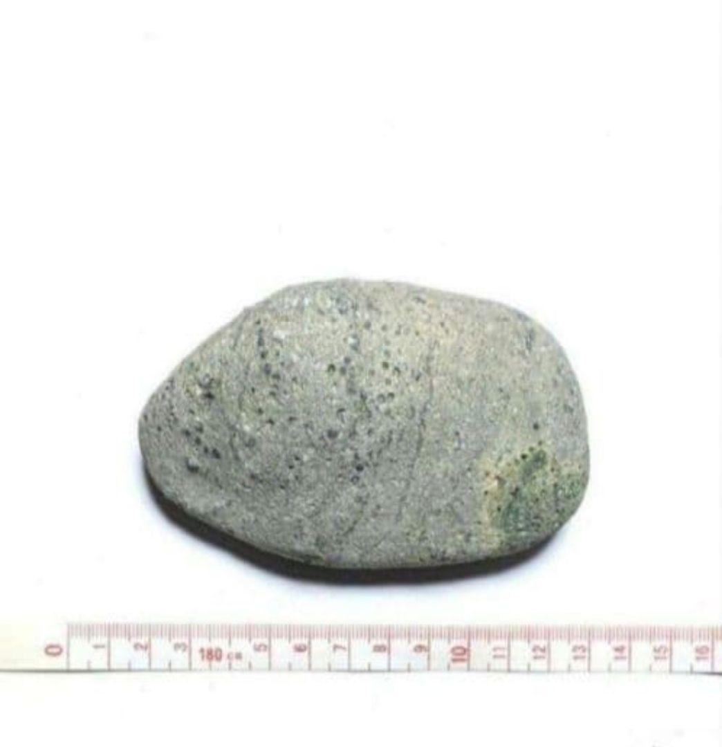 青森県産 今別町産 袰月産 舎利母石 原石 奇石 安山岩 子持ち石 一点物 D