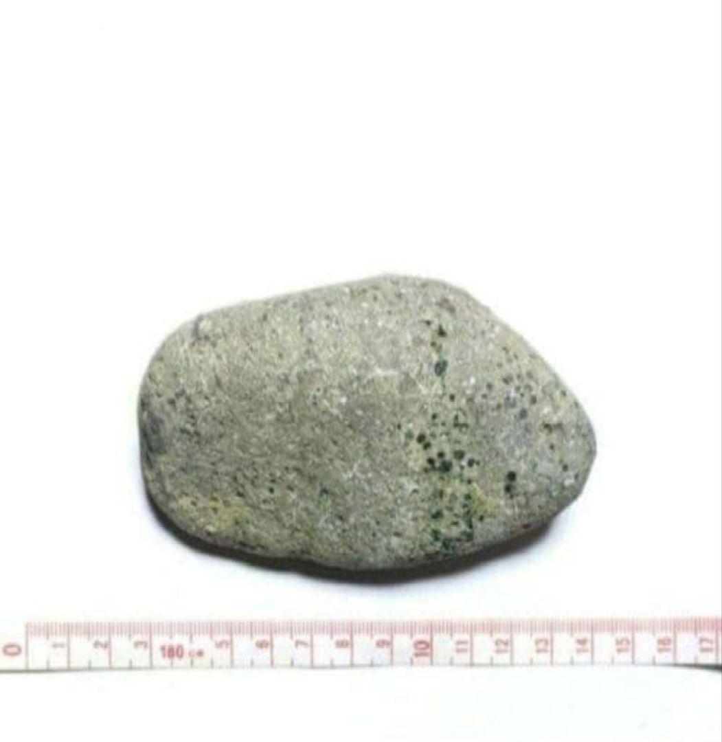 青森県産 今別町産 袰月産 舎利母石 原石 奇石 安山岩 子持ち石 一点物 D
