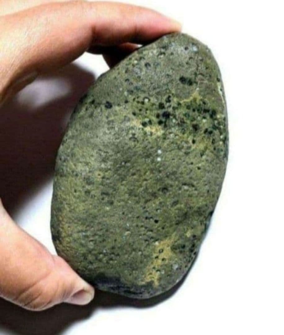 青森県産 今別町産 袰月産 舎利母石 原石 奇石 安山岩 子持ち石 一点物 D