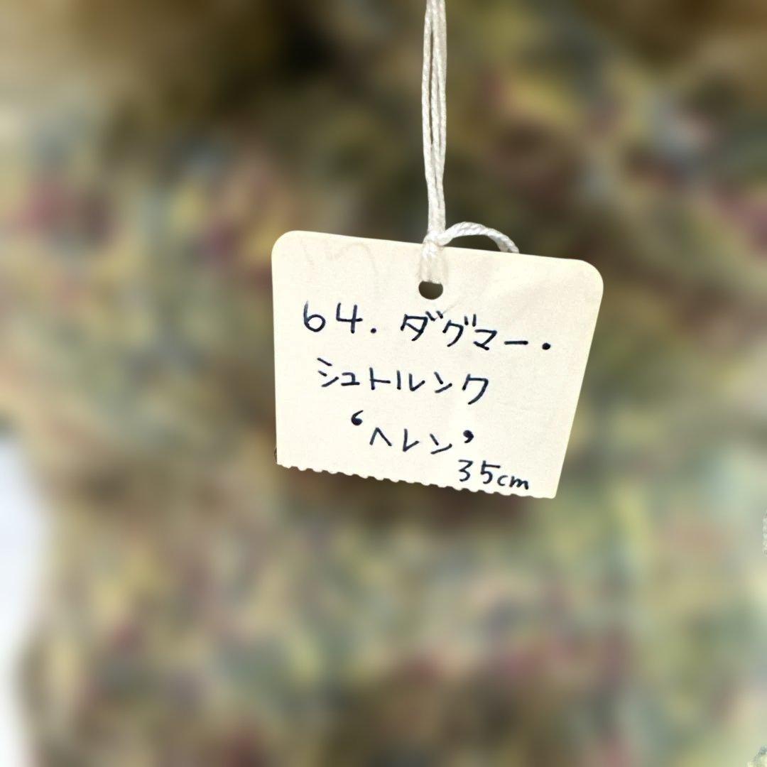 ダグマーシュトランク、ドイツダーベンノーレ テディベア マルチカラー 約35cm