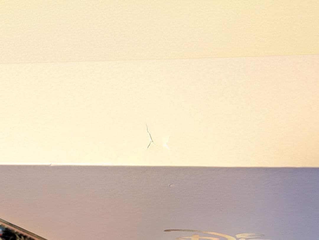 ディズニー100周年　城　ティーンカーベル&キャッスル