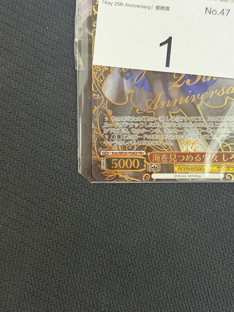 CXチャレンジ Key PR＋ 海を見つめる少女 しろは 冬の到来しろは&うみ