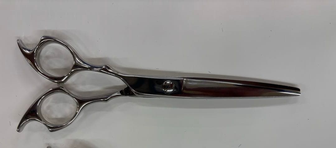 左用　6.5インチ シザー レフティー　左