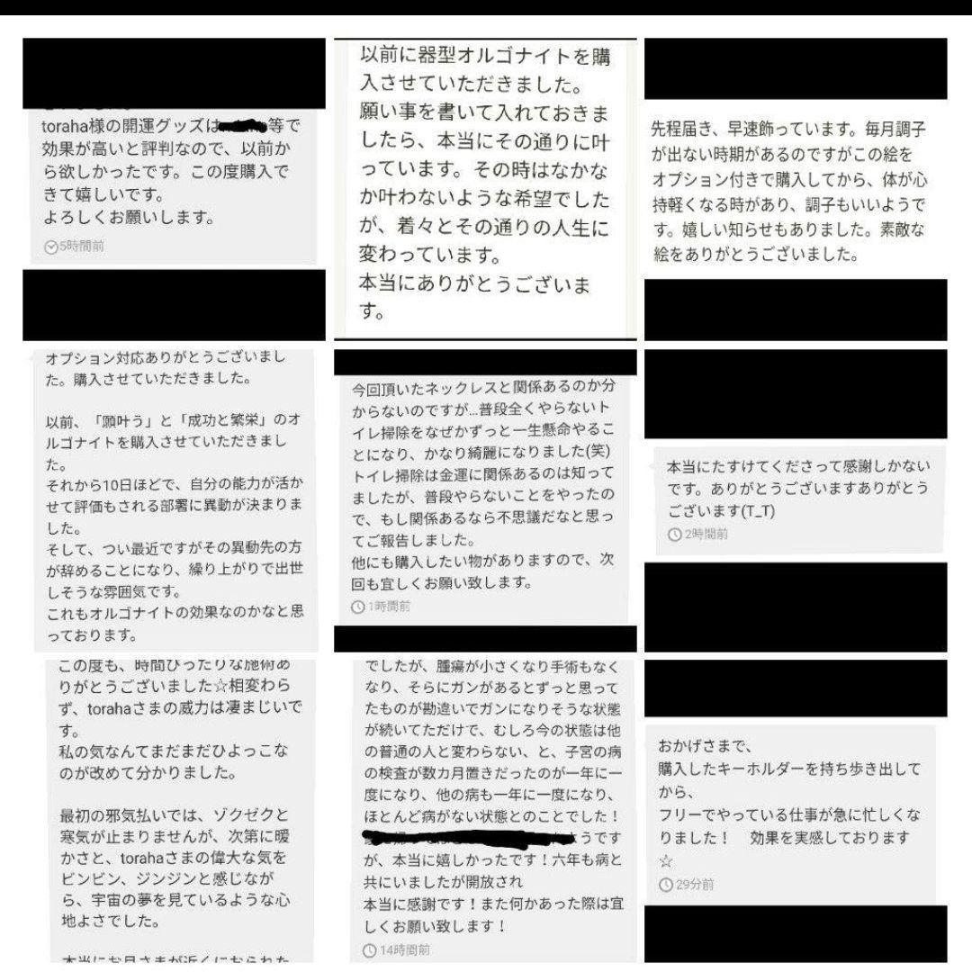 生命力UP☆宝珠オルゴナイト②（願い叶えるメモリーオイル封入）