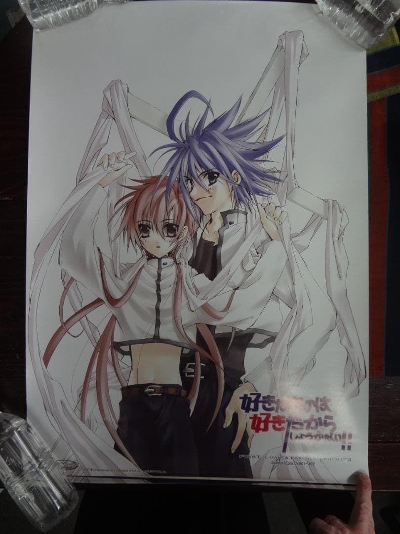 好きなものは好きだからしょうがない!!  入手困難非売品B２サイズポスターセット