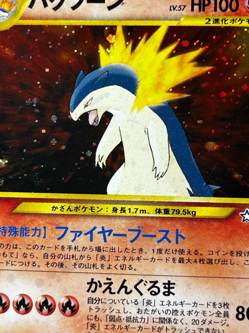 バクフーン_プレミアムファイル PROMO 第1世代 1996~1999 旧裏 - メルカリ