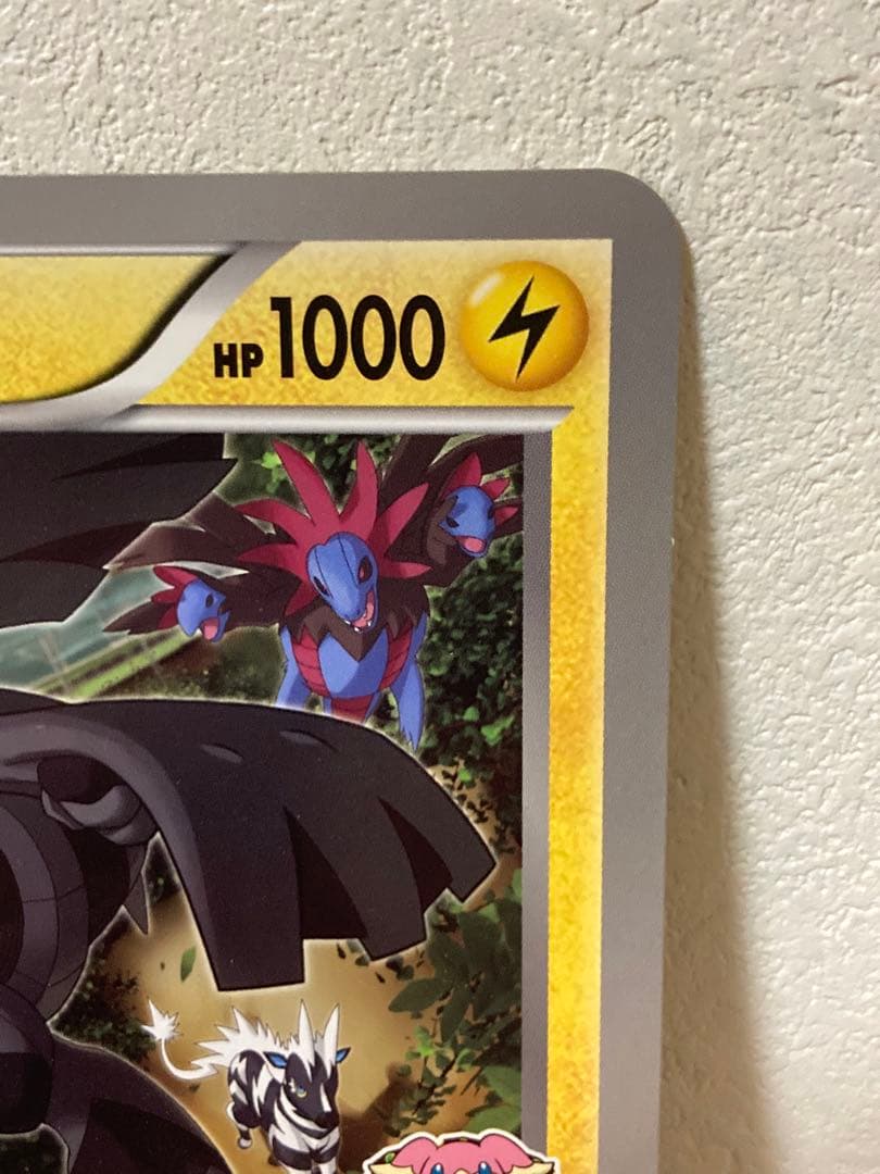 希少　ジャンボカード　ゼクロム jr北海道　ポケモン調査隊2011　プロモ