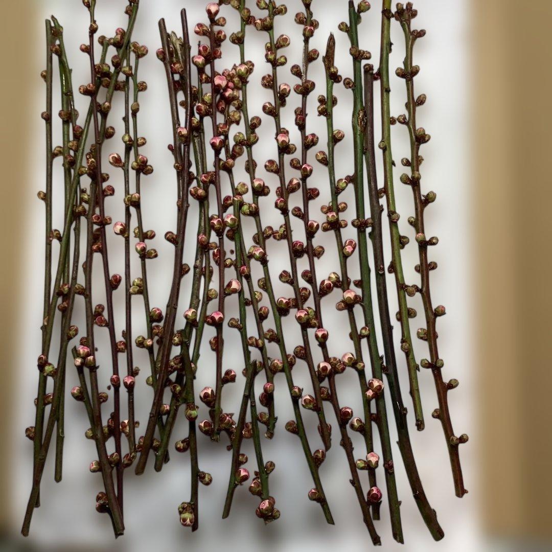 kuro★交渉不可❗️必ずプロフ読んでネ様ご相談ページ