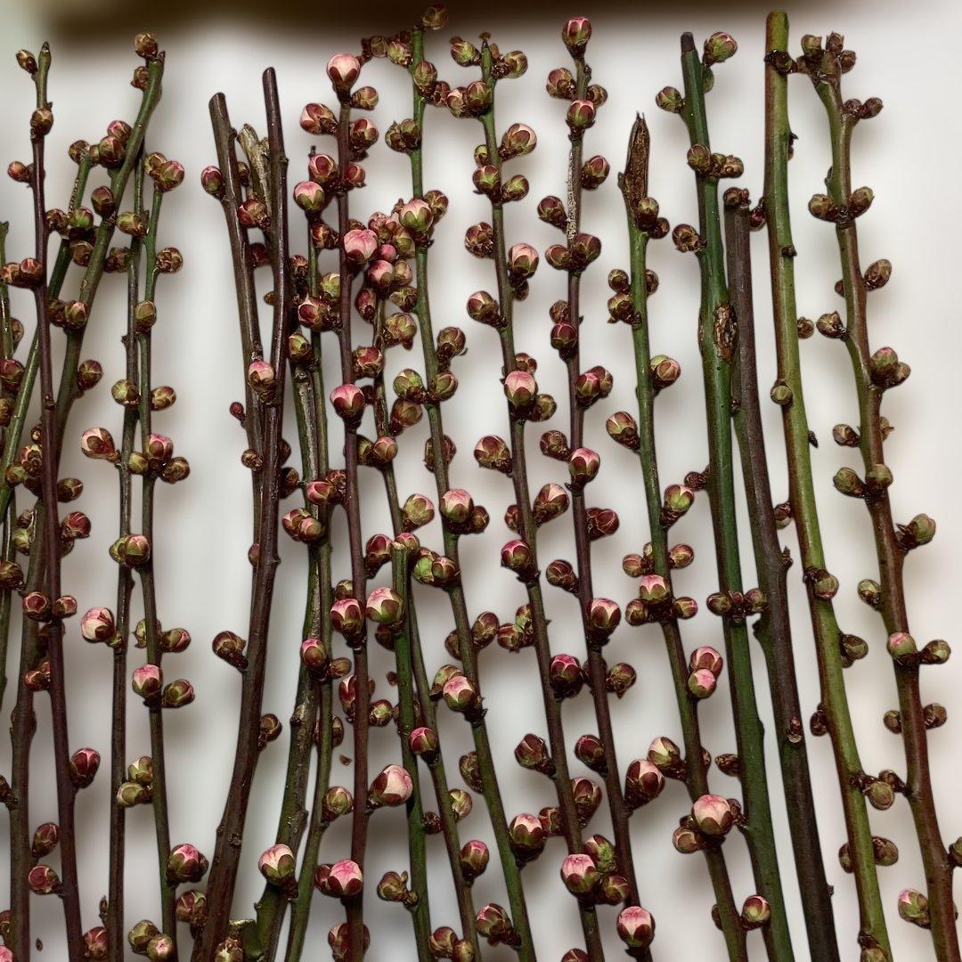 kuro★交渉不可❗️必ずプロフ読んでネ様ご相談ページ