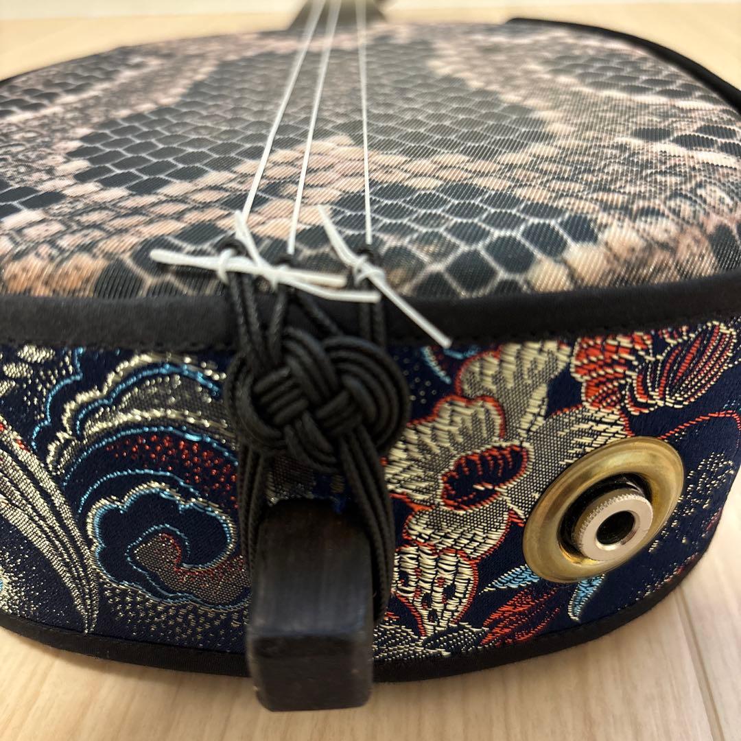 沖縄　SK252G-C エレキ三線 沖縄三線初心者セット