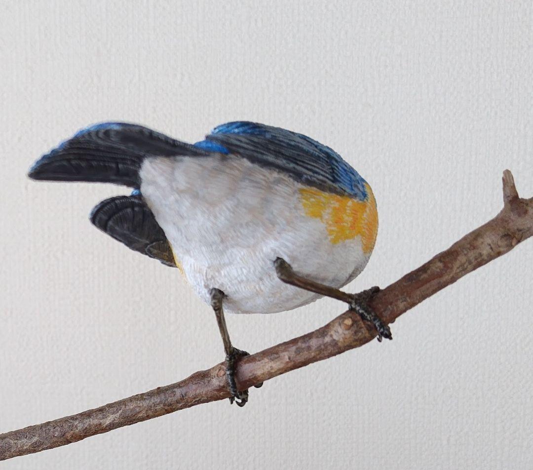 バードカービング”ルリビタキ(瑠璃鶲） S.No.:B1011