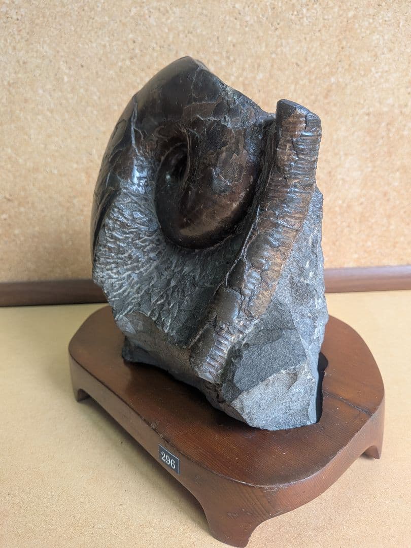 アンモナイト化石 12.0㎝(296)