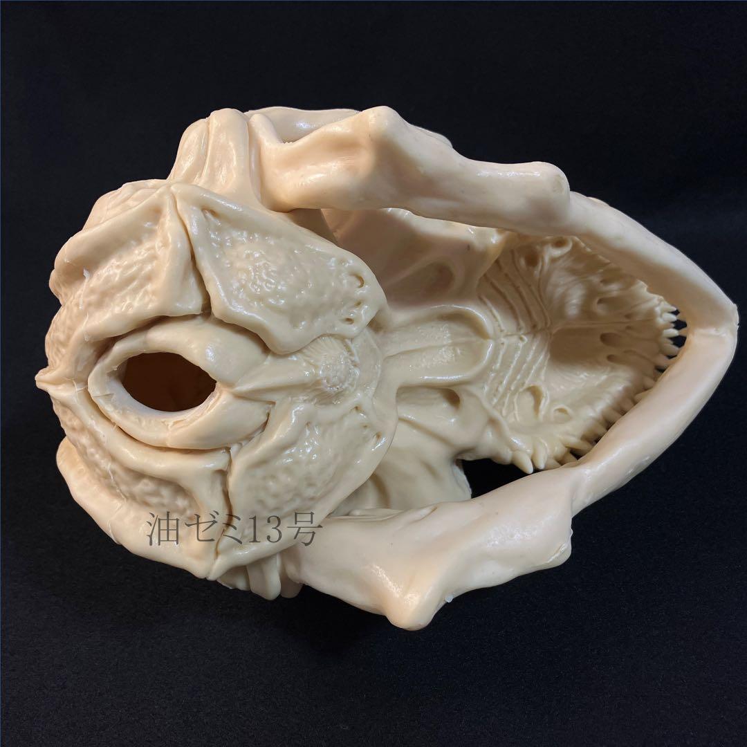 ゴジラスカル Godzilla skull ガレージキット 頭骨 頭蓋骨 - メルカリ