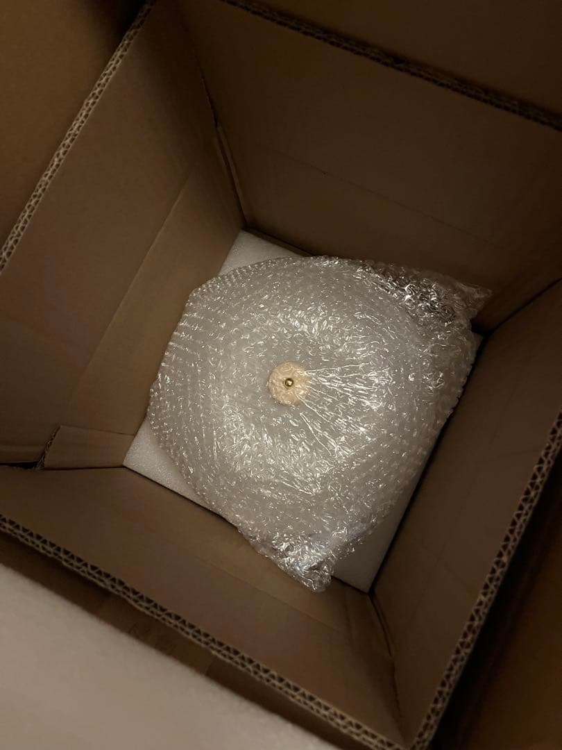 新品未使用 パルカノ