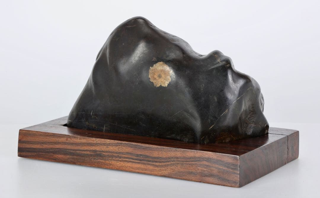 菊花石 花紋石 黒母岩 台座付 2.2kg 鑑賞石 自然石 原石 水石 盆石