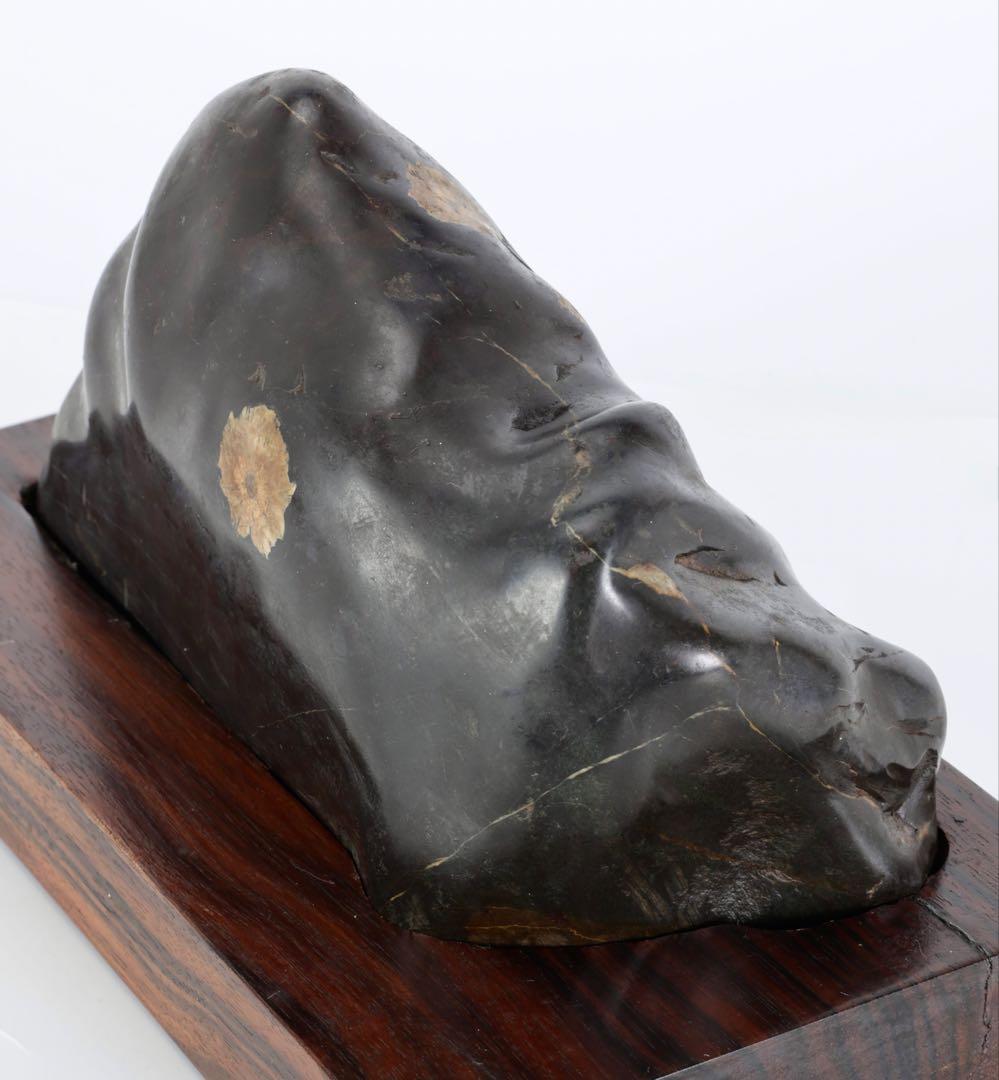 菊花石 花紋石 黒母岩 台座付 2.2kg 鑑賞石 自然石 原石 水石 盆石