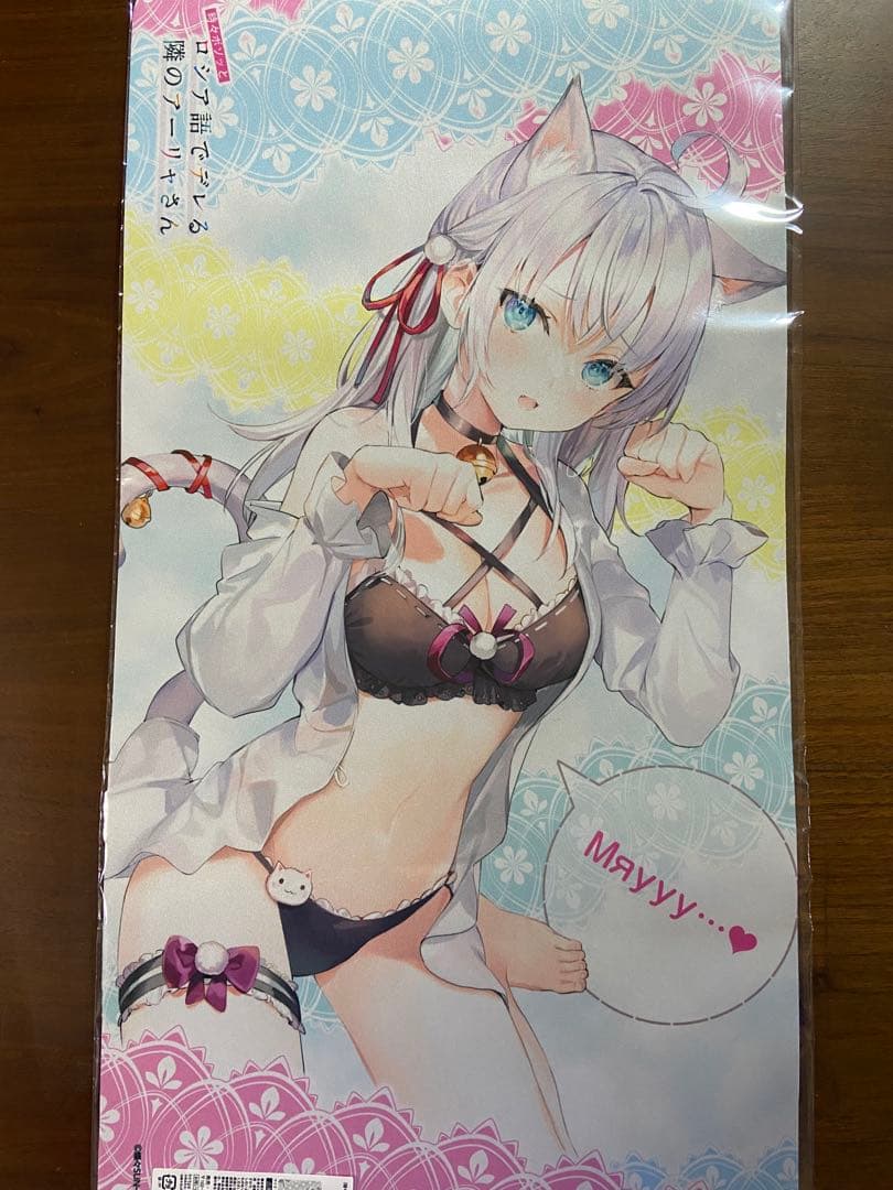 限定版 時々ボソッとロシア語でデレる隣のアーリャさん 原作版 猫耳ver