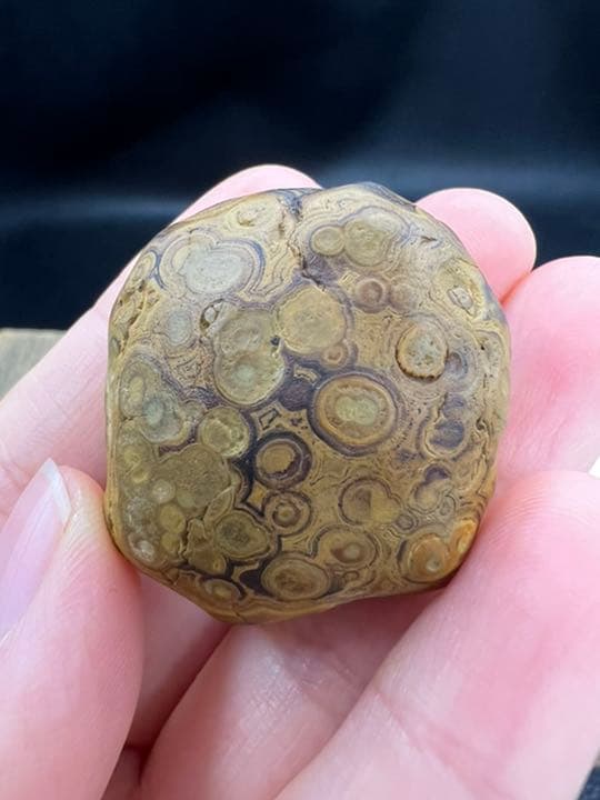 060324　超希少　8字天眼九眼頁岩石原石33*35ミリ