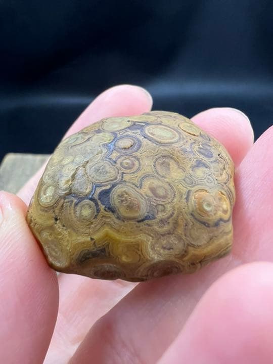 060324　超希少　8字天眼九眼頁岩石原石33*35ミリ