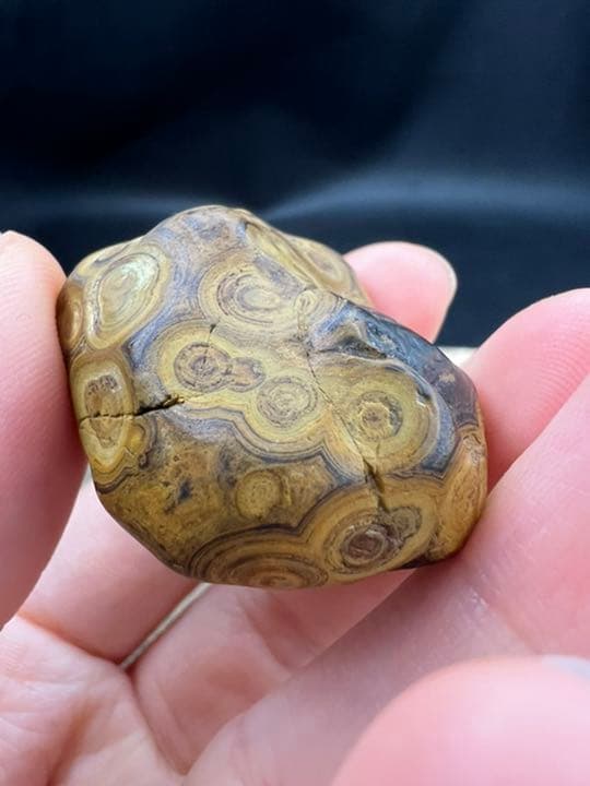 060324　超希少　8字天眼九眼頁岩石原石33*35ミリ