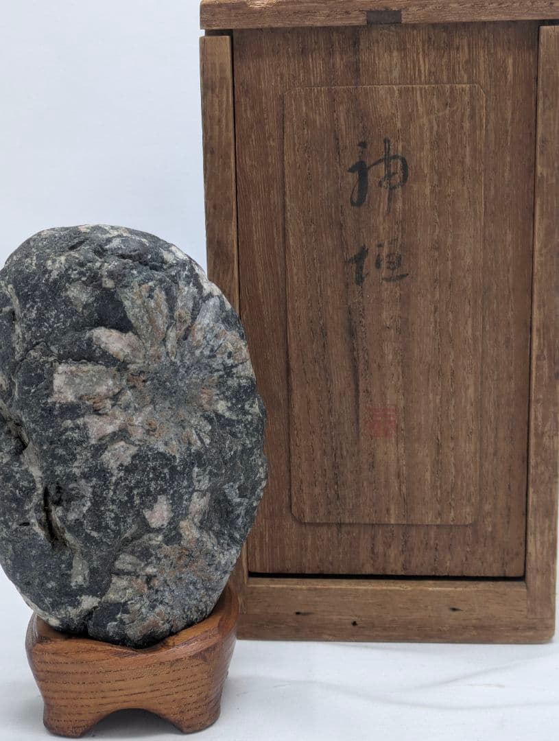 菊花石　ピンク主体の花　根尾 小林宗閑箱書き　鑑賞石 水石 　木製台座　文化財級