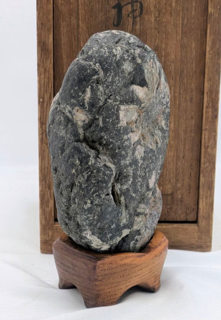 菊花石　ピンク主体の花　根尾 小林宗閑箱書き　鑑賞石 水石 　木製台座　文化財級