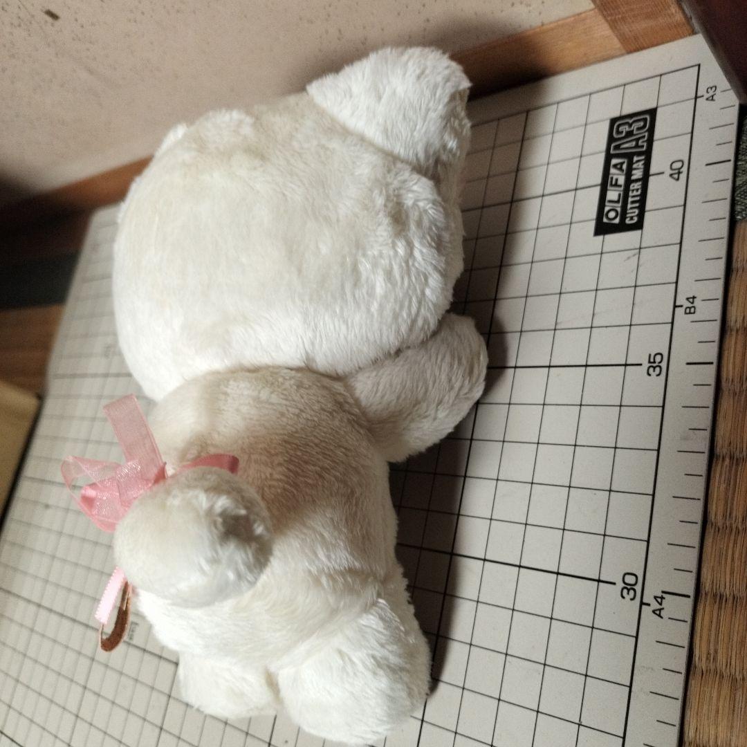 《レア》コリラックマ 鏡の中のコリラックマ ぬいぐるみ