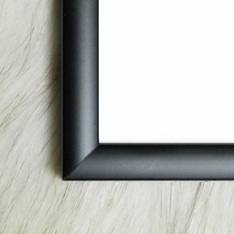 額装品/Paquet De Gauloises（ジャクノ）アートポスター