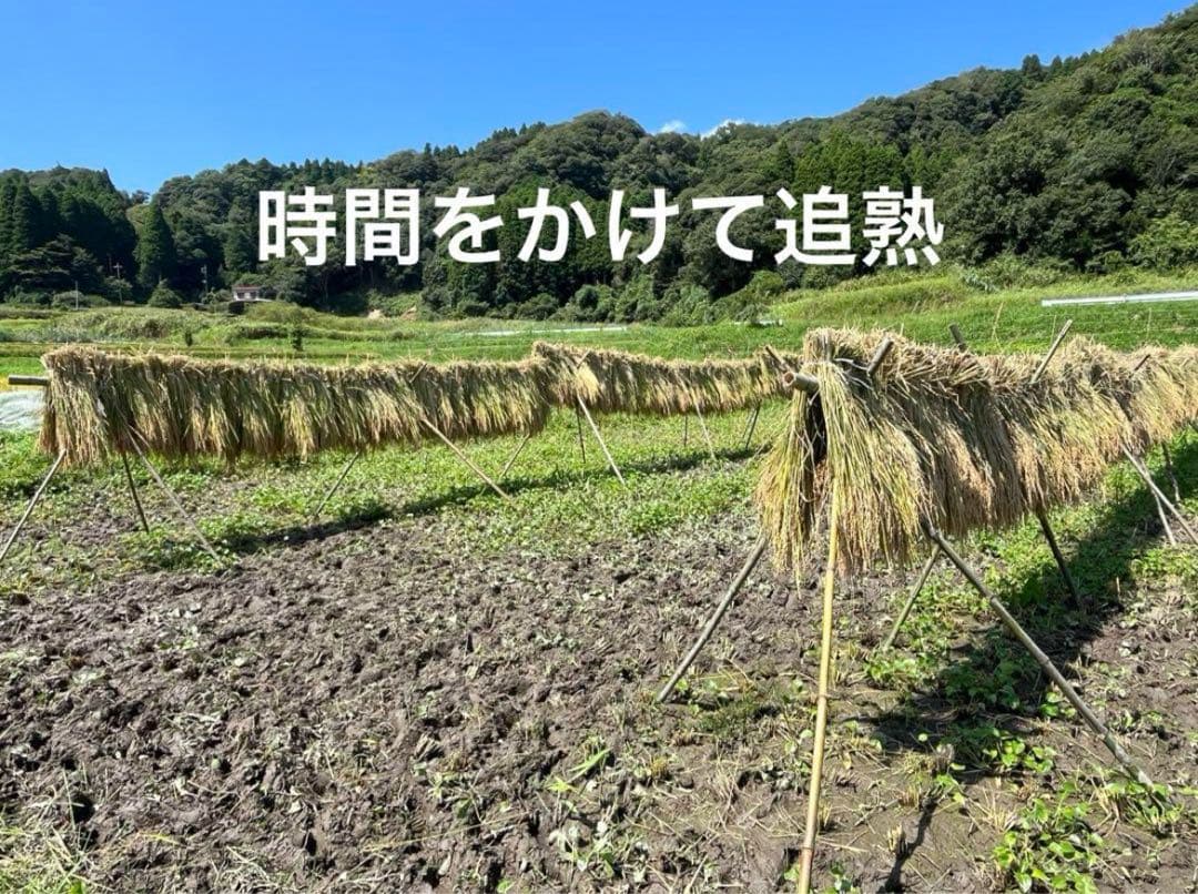 2025年収穫 無肥料　農薬不使用　カット稲わら 発送最大180〜200サイズ