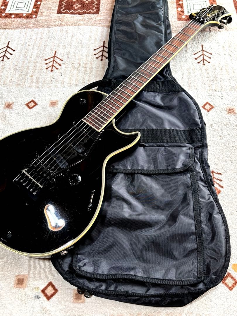 メンテナンス済み！　EDWARDS E-CL-90-I SUGIZO Model