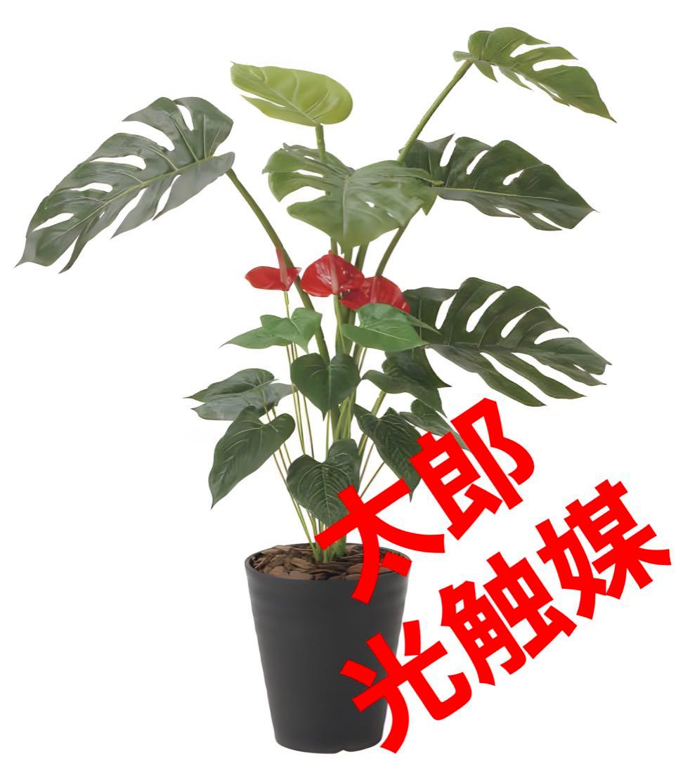 光触媒　人工観葉植物　フェイクグリーン　モンステラ&アンスリューム 95