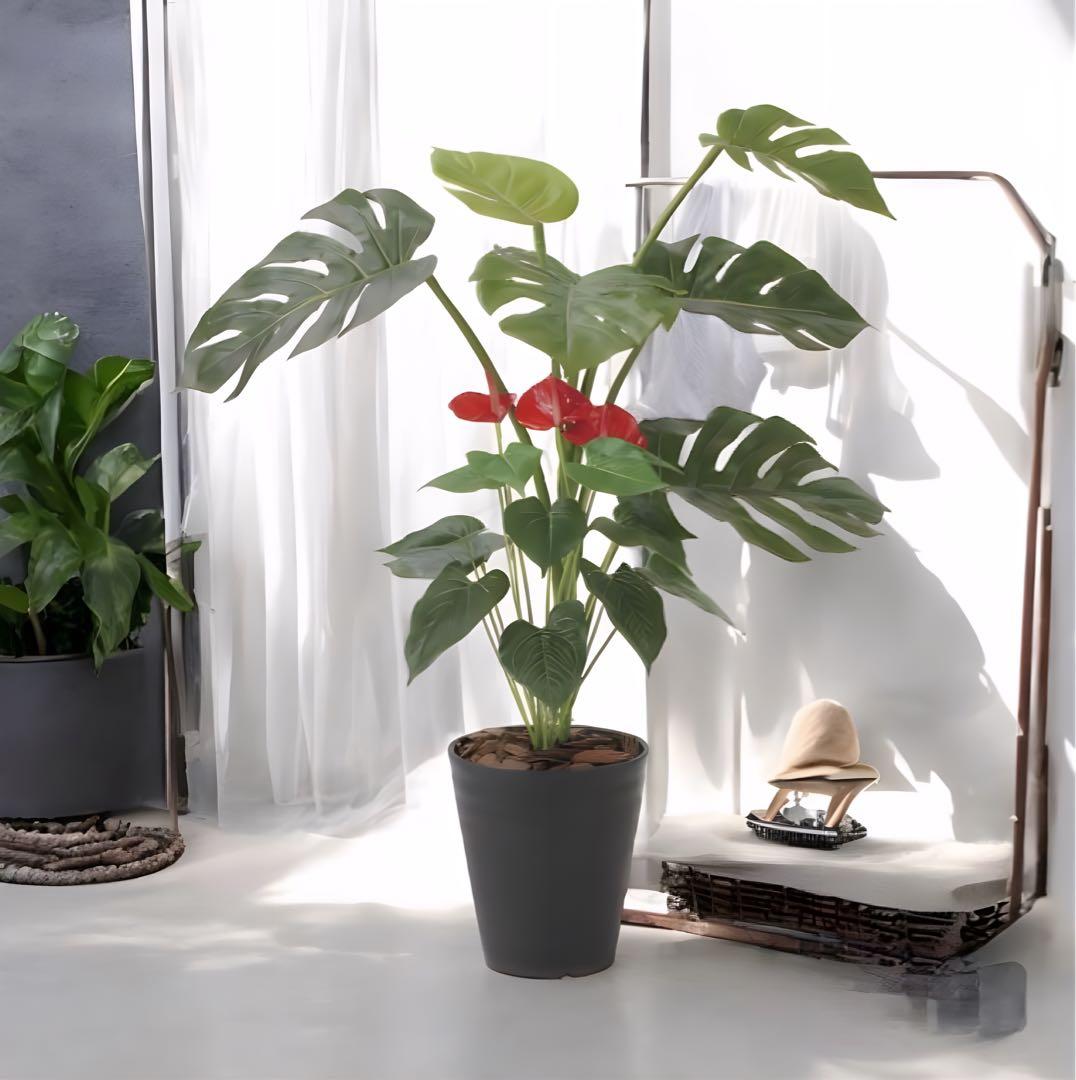 光触媒　人工観葉植物　フェイクグリーン　モンステラ&アンスリューム 95