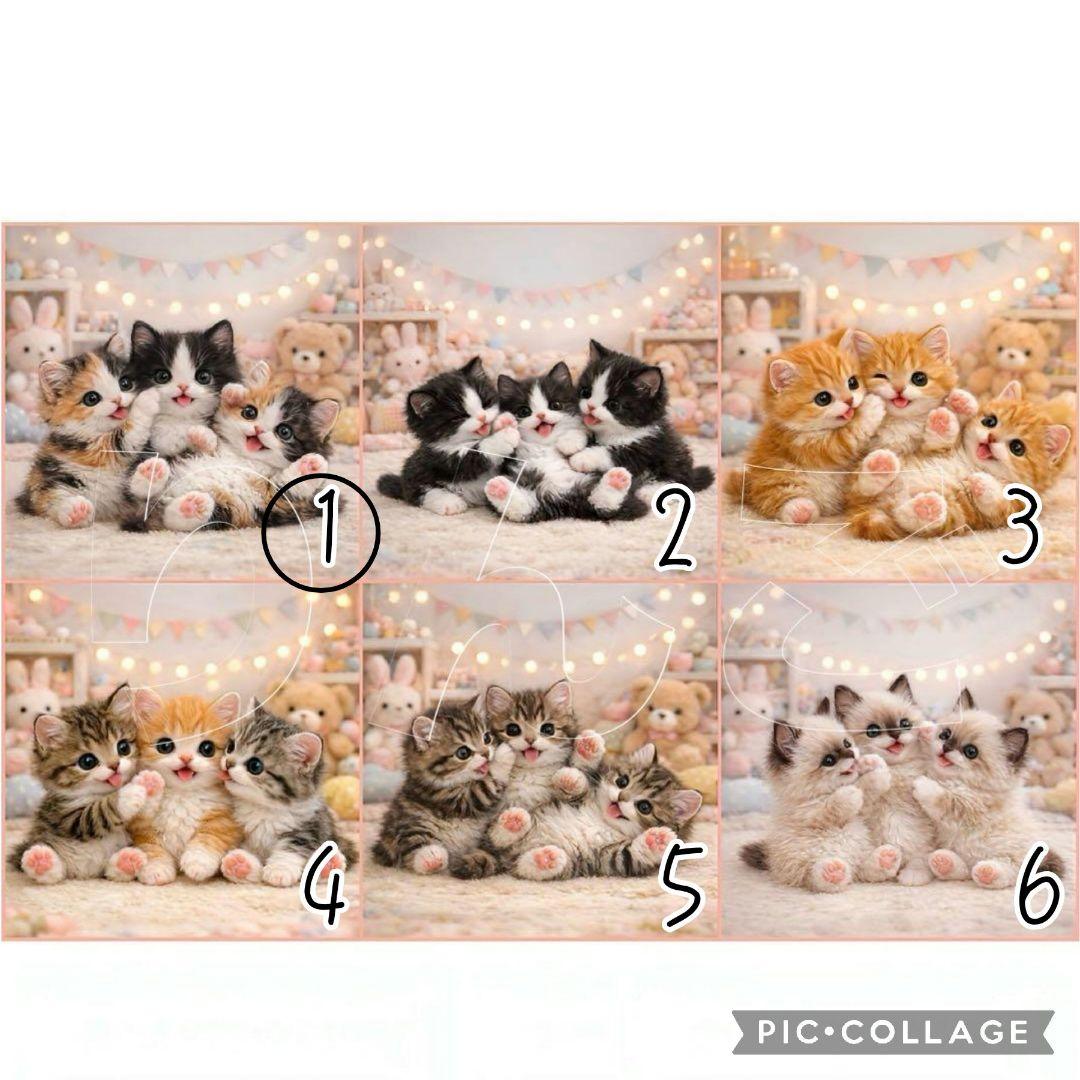 【2月】ゆきよもりん