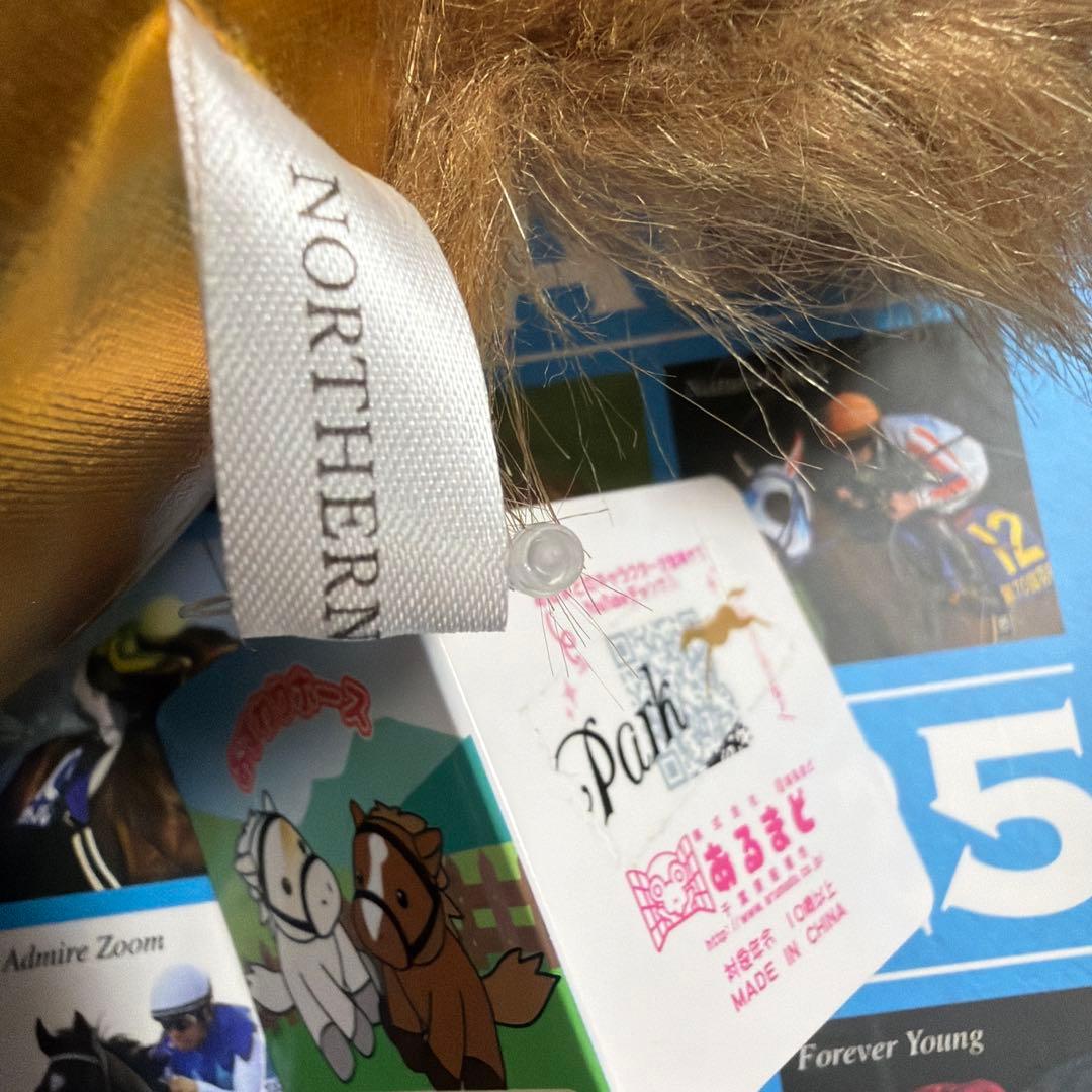 ブエナビスタ　タテガミ　2025