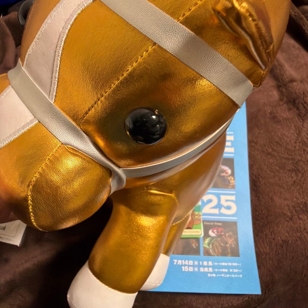 ブエナビスタ　タテガミ　2025