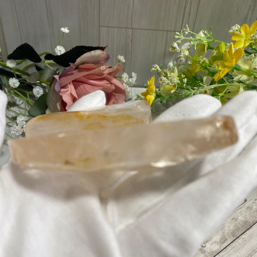 ゴールデンヒーラー ちょうちょ ②