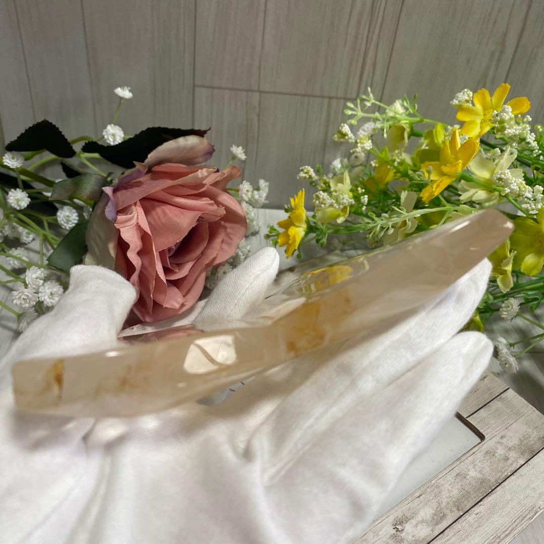 ゴールデンヒーラー ちょうちょ ②