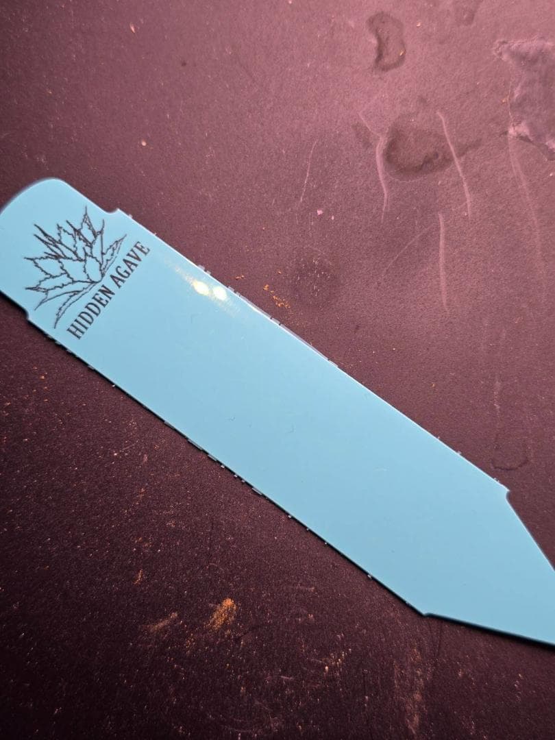 HIDDEN AGAVEジェレミー Creep 発根済タグ付き