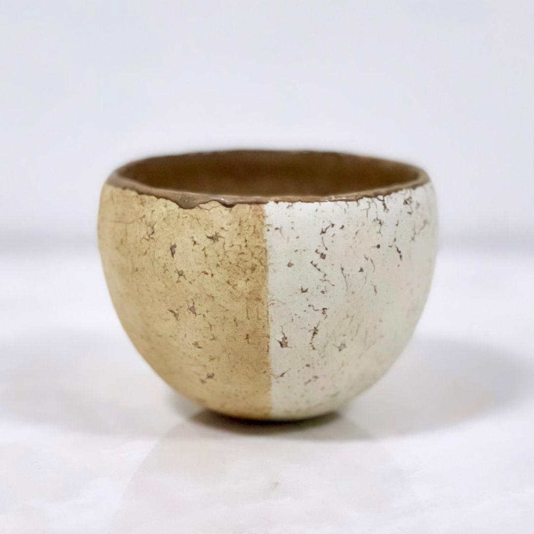 希少 内田鋼一 ボウル鉢1客 伊藤聡信剛俊鈴木環岡晋吾石原稔久森岡由利子辻和美