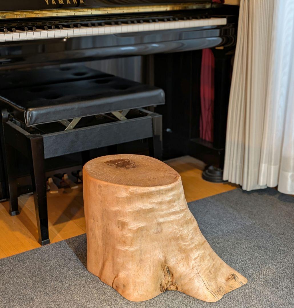 KOHQ　水目桜　天然木　切り株　椅子　スツール　高さ約34.5cm