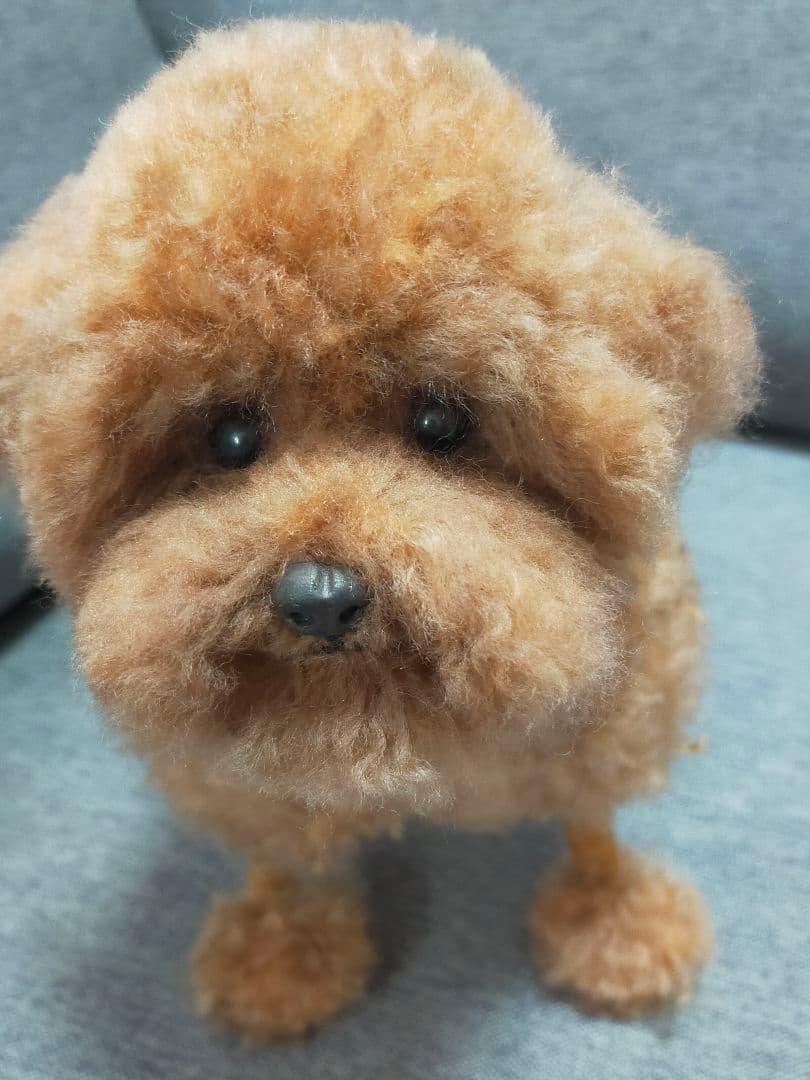 送料込み。お値下げ。トイプードルレッドちゃん。羊カット♡立ちポーズ