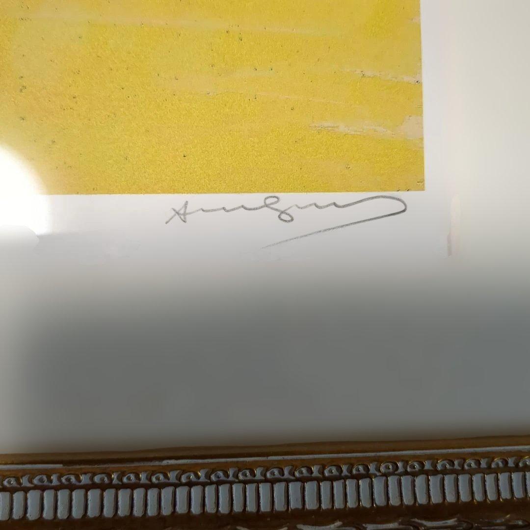 アンディウォホール メキシカンフラワーズ 64/250 証明書付き