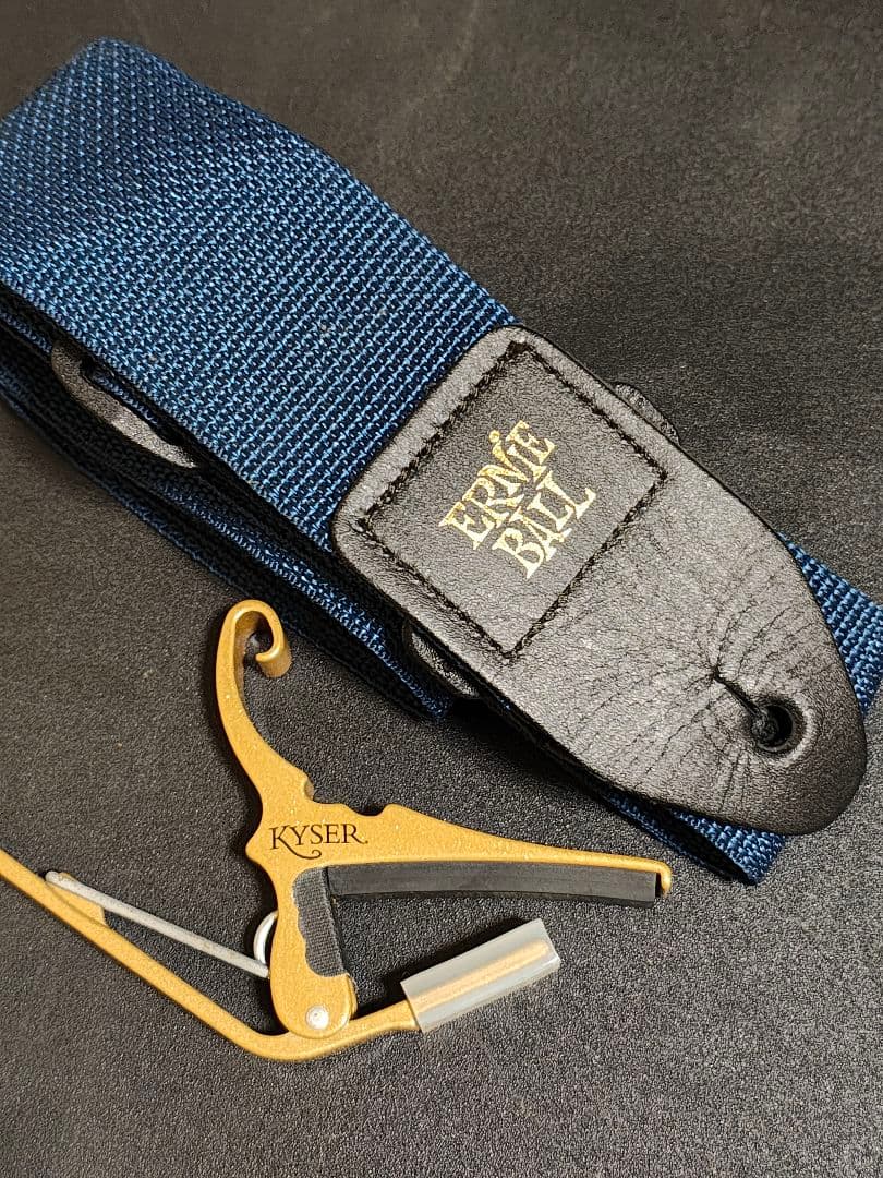 単板トップAria 201TS/美品ギグケース＆オマケ多数 - メルカリ