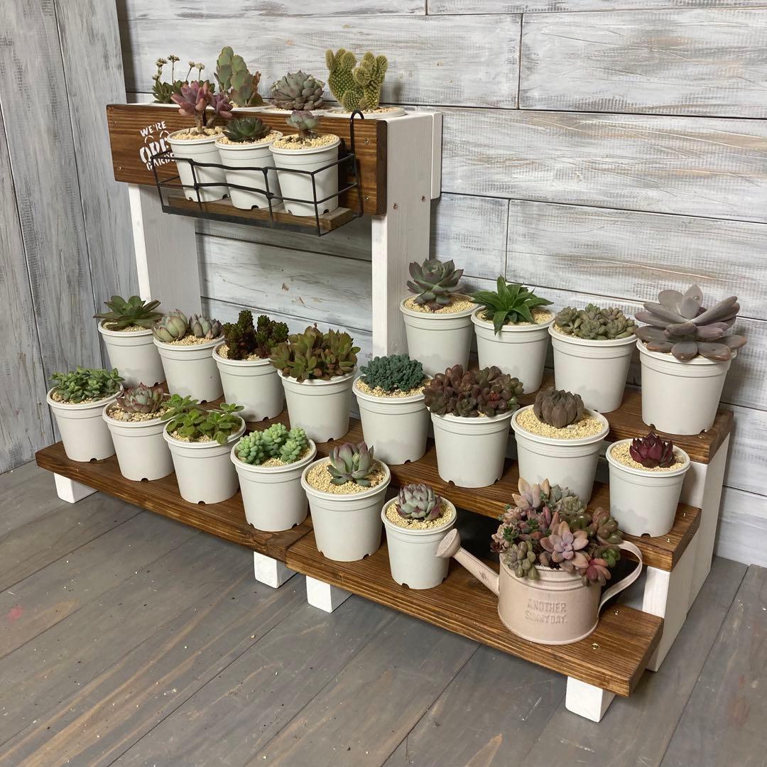 L08 多肉植物棚 多肉棚 ウッドプランター 観葉植物 ディスプレイ 飾り
