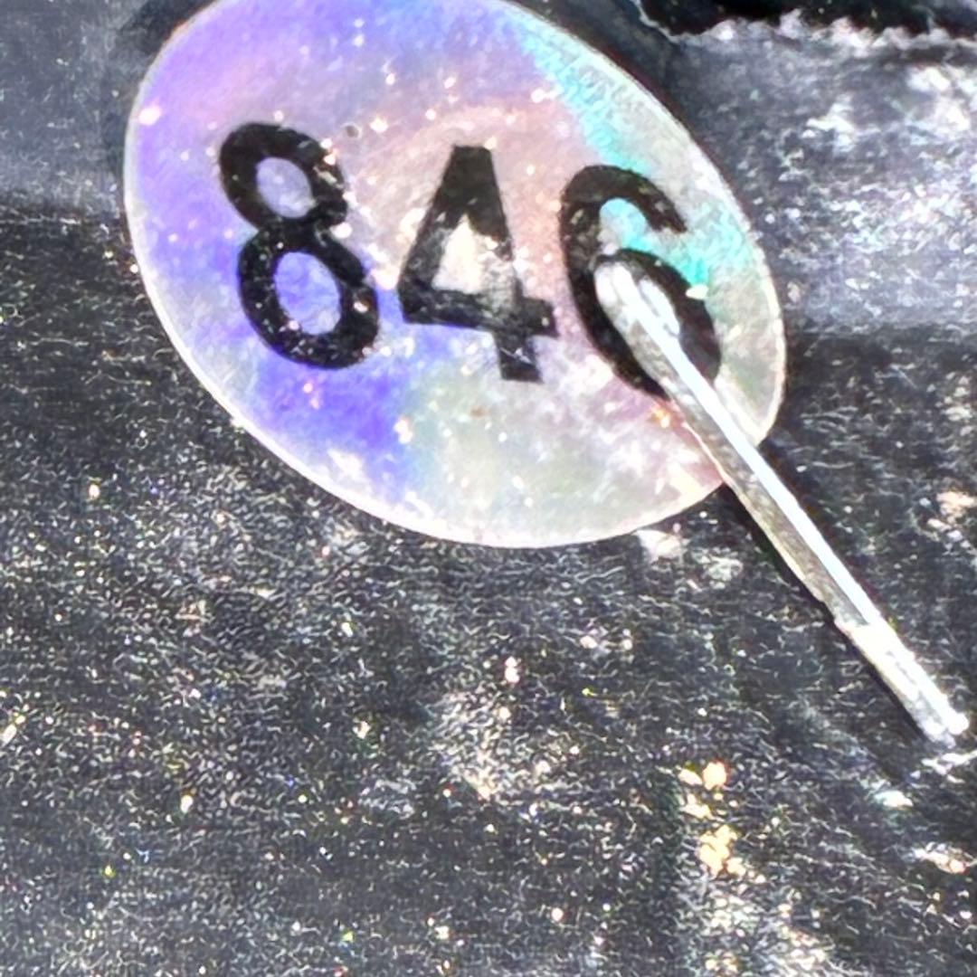 オ*ン様 ☘️超レア☘️❤️根充実❤️しっかり新芽❤️846Ash【ASHWOO