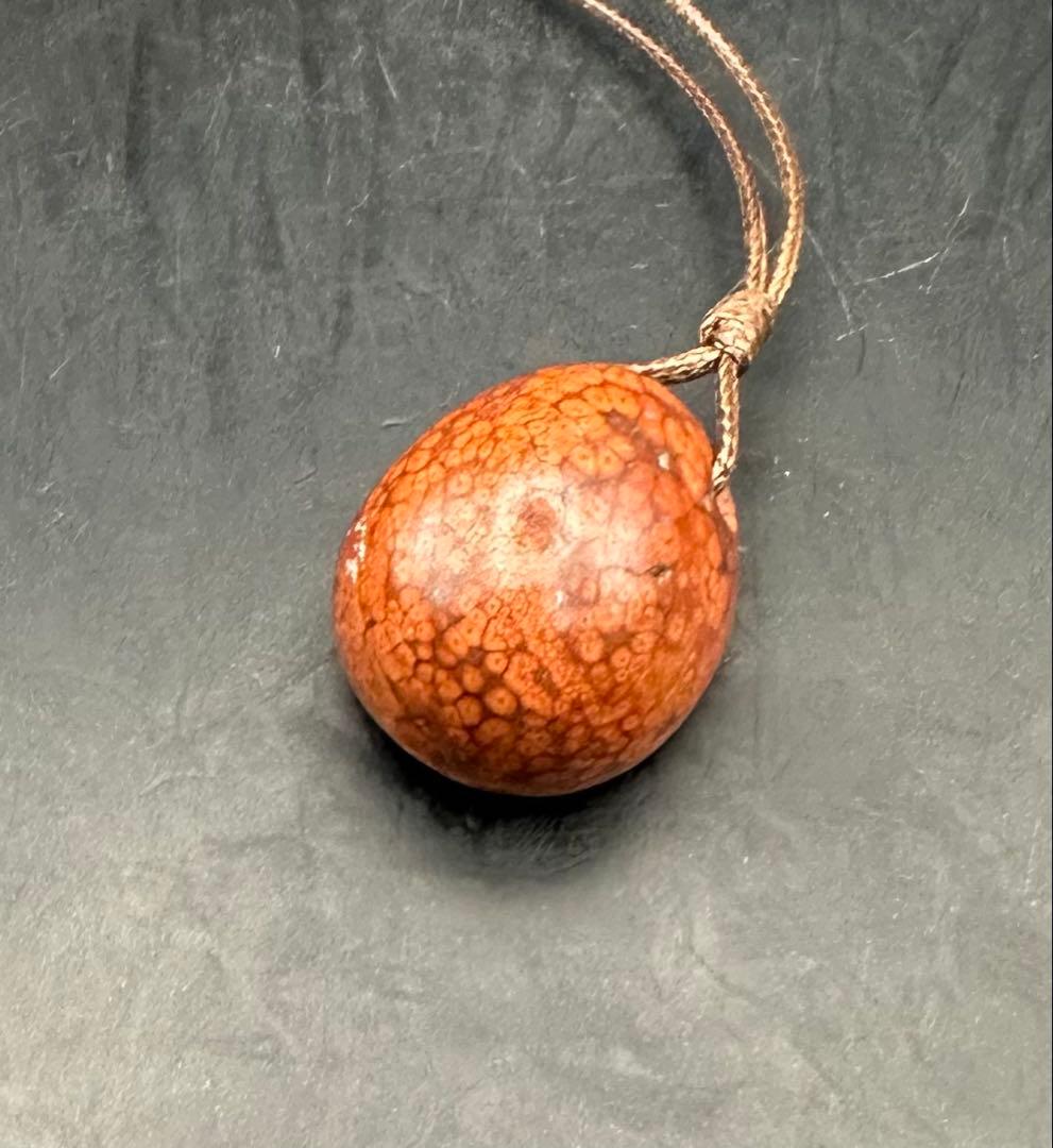 2026.2.5龍血魂珠　ダイナソーボーン（恐竜化石）