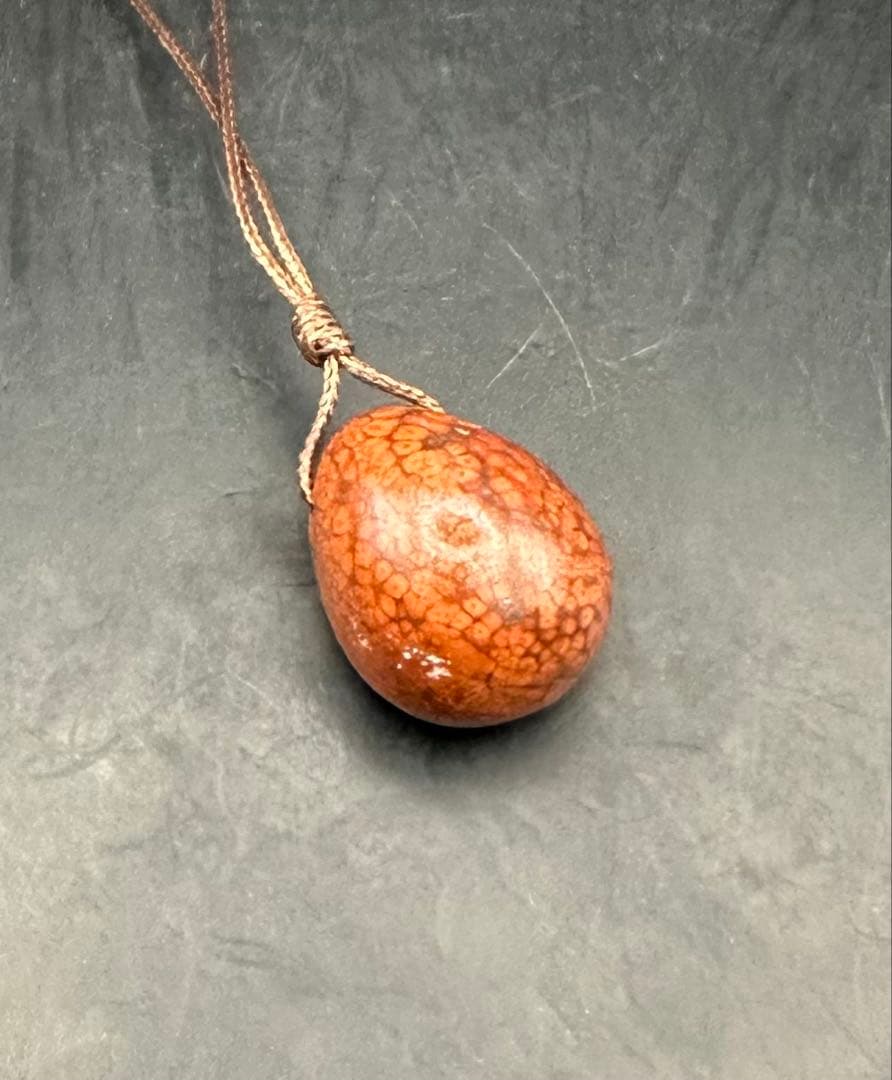 2026.2.5龍血魂珠　ダイナソーボーン（恐竜化石）