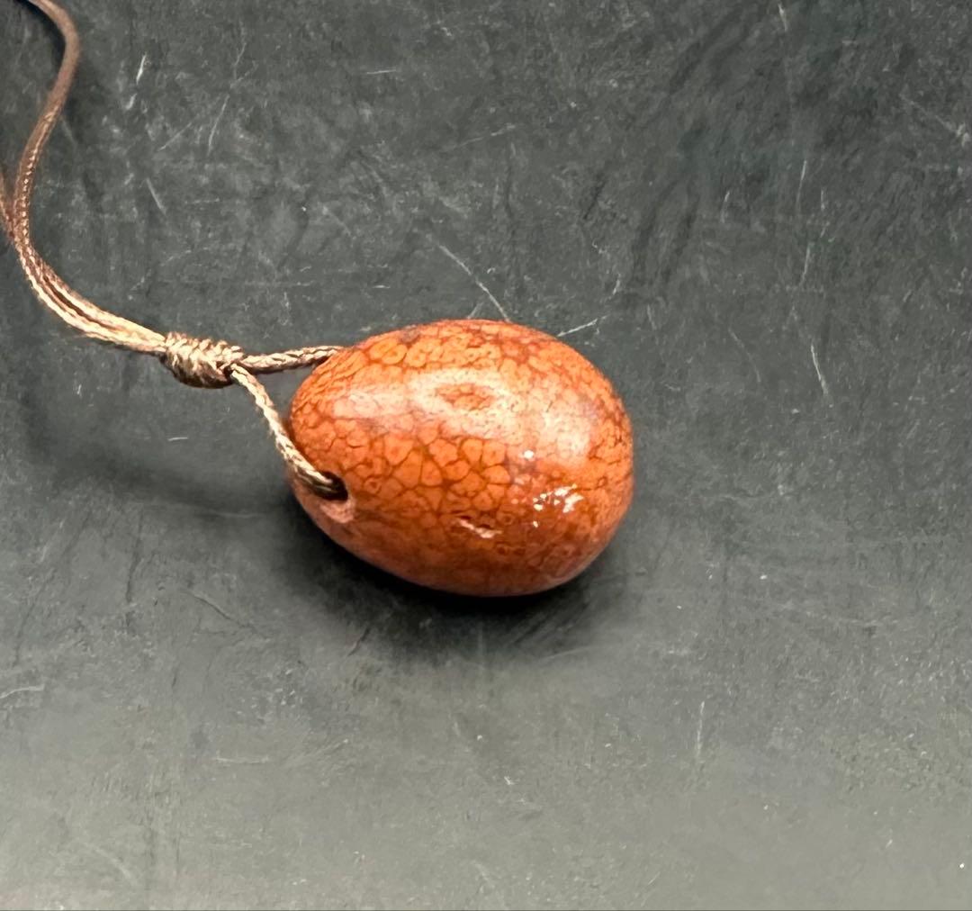 2026.2.5龍血魂珠　ダイナソーボーン（恐竜化石）