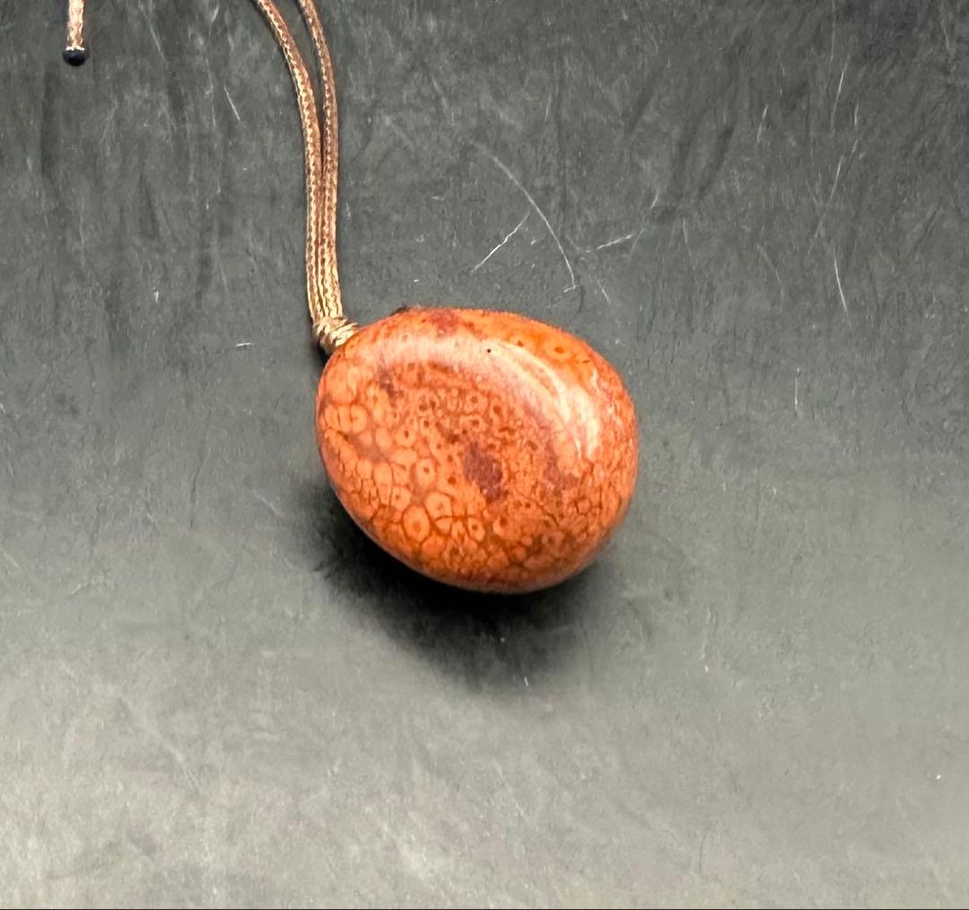 2026.2.5龍血魂珠　ダイナソーボーン（恐竜化石）